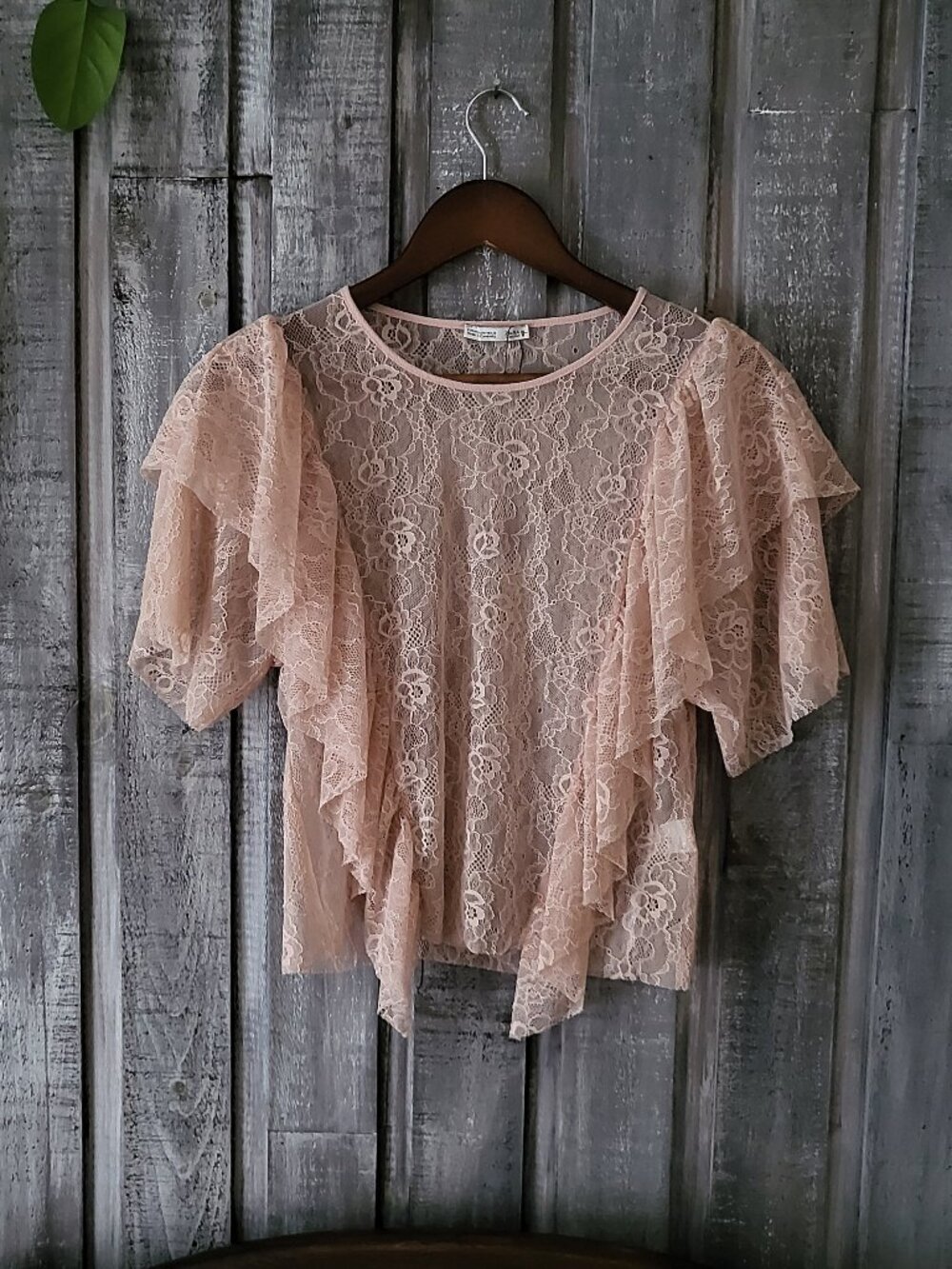 Zara Pink Floral Lace Ruffle Balloon Sleeve Sheer Blouse Medium NWT